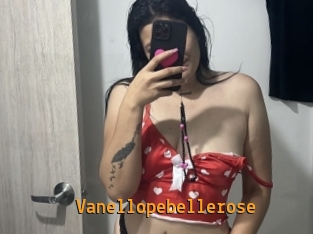 Vanellopebellerose