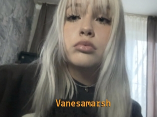 Vanesamarsh