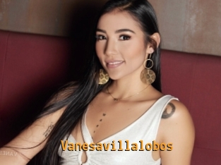 Vanesavillalobos