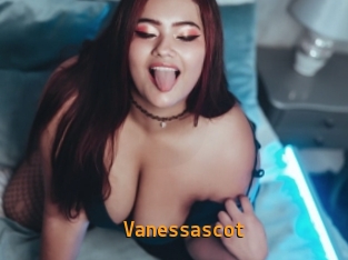 Vanessascot