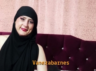 Vanezabarnes