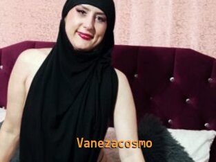 Vanezacosmo