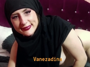 Vanezadina