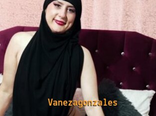 Vanezagonzales