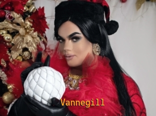 Vannegill