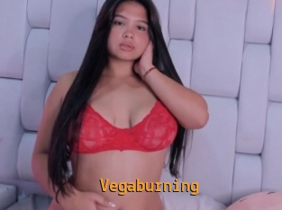 Vegaburning