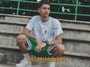 Velamikbarbosa