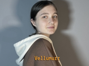 Vellumurr