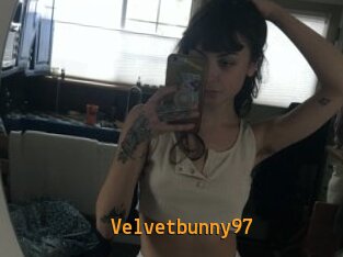 Velvetbunny97