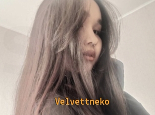 Velvettneko