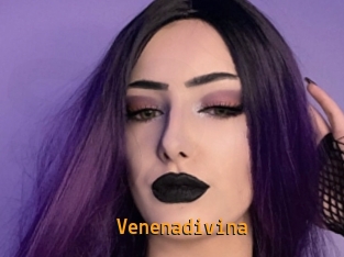 Venenadivina