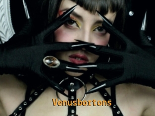 Venusbortons