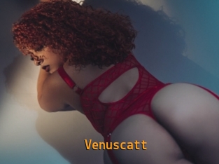Venuscatt