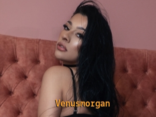 Venusmorgan