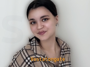 Vestatongate