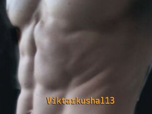 Viktarkushal13