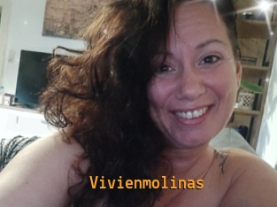 Vivienmolinas