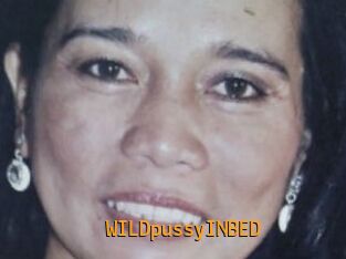 WILDpussyINBED