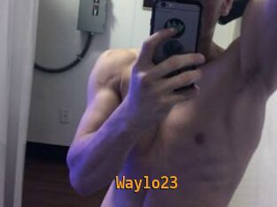 Waylo23
