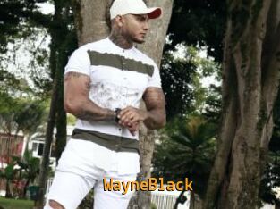 WayneBlack Sexcam Portal