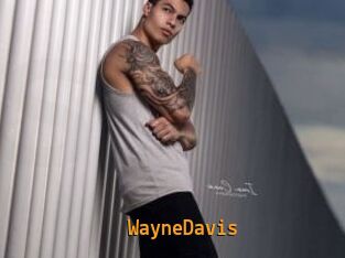 WayneDavis