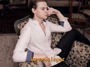 WayneGalager