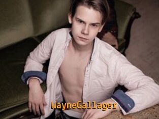 WayneGallager