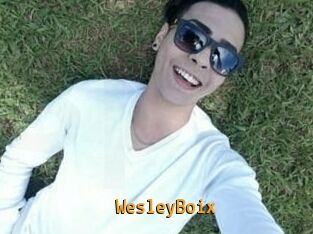 Wesley_Boix