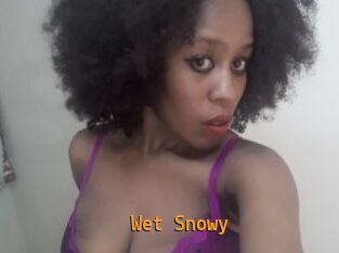Wet_Snowy