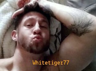 Whitetiger77