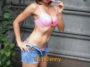 WildJenny