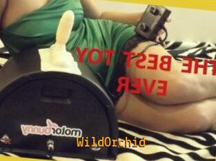 WildOrchid_