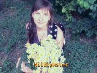 Wildcumster