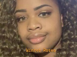 Winter_Rosea