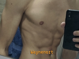 Waynenort