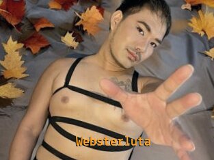Websterluta