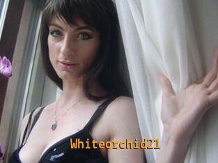 Whiteorchid21