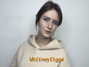 Whitneyfigge