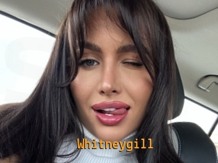 Whitneygill