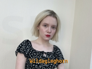 Wildagleghorn