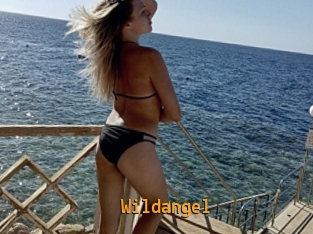 Wildangel