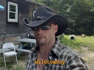 Wildcowboy