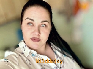 Wilddaisy