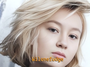 Wilonefudge