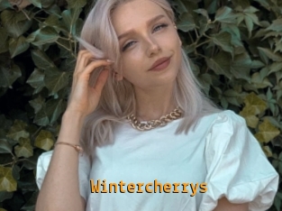 Wintercherrys