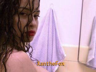 Xanthe_Fox