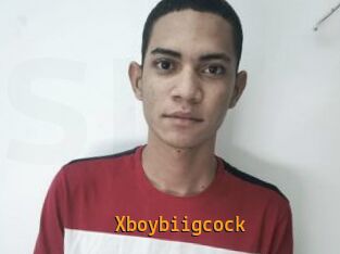 Xboybiigcock