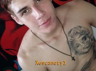 Xescanory1