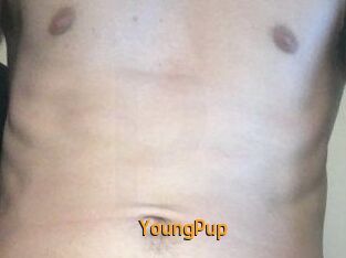 YoungPup