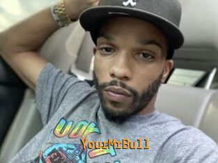 YourMrBull